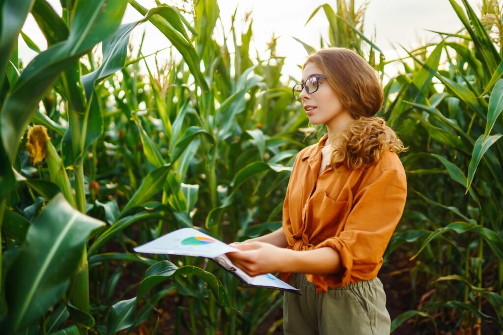 Farmer woman stands in field, inspects green corn plantation. Agricultural industry. Harvest care.